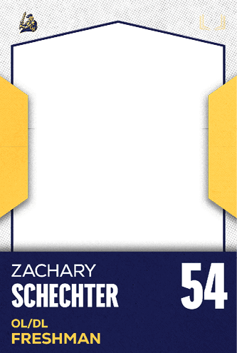 A football jersey with the number 33 on the back. Description generated by AI