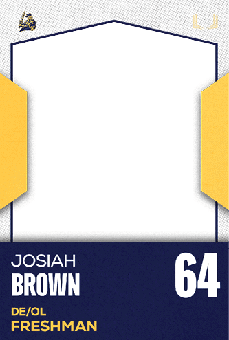 A football jersey with the number 36 on the back. Description generated by AI