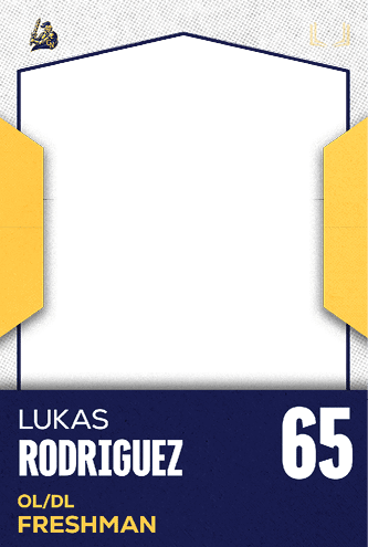 A football jersey with the number 37 on it. Description generated by AI