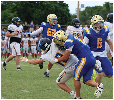 A football player wearing a blue and white uniform. Description generated by AI