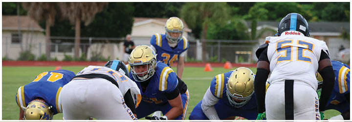 A group of football players on a field. Description generated by AI