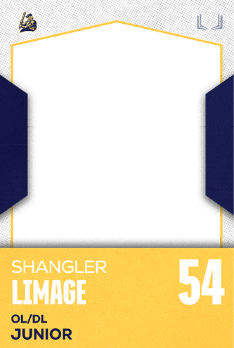 A football jersey with the number 43 on it. Description generated by AI