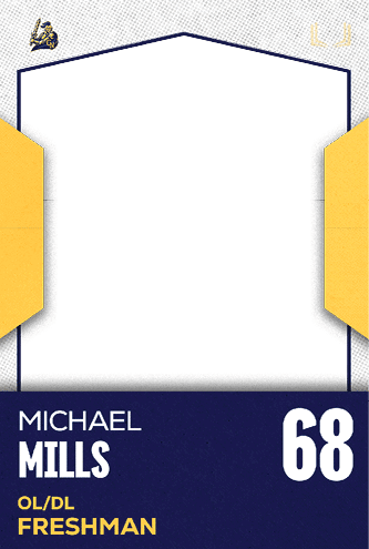 A football jersey with the number 38 on it. Description generated by AI