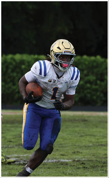 A football player running on the field. Description generated by AI