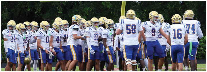 A group of football players on a field. Description generated by AI