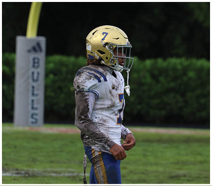 A football player wearing a blue and white uniform. Description generated by AI