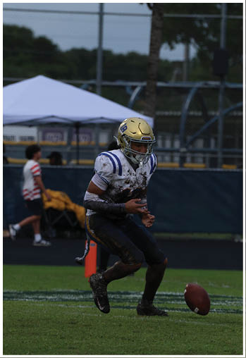 A football player running on the field. Description generated by AI