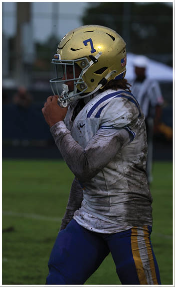 A football player running on the field. Description generated by AI