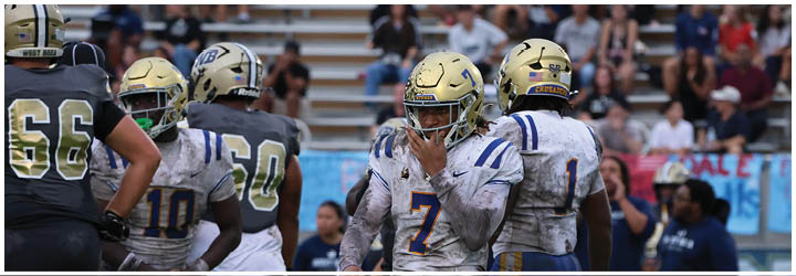 A group of football players on a field. Description generated by AI