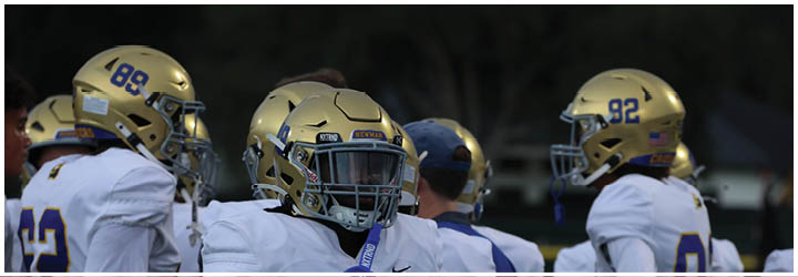 A group of football players on a field. Description generated by AI