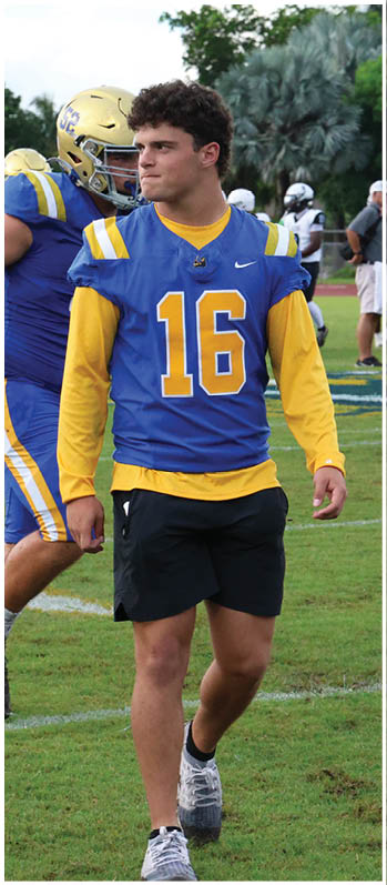 A football player running on the field. Description generated by AI