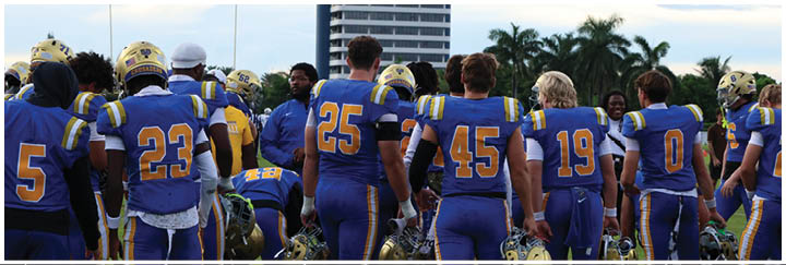 A group of football players on a field. Description generated by AI