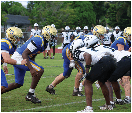 A football player wearing a blue and white uniform. Description generated by AI