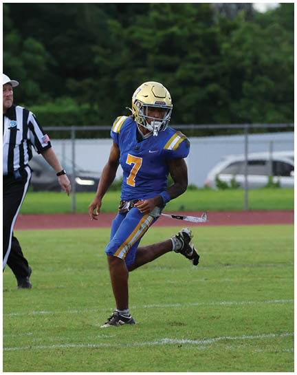 A football player wearing a blue and white uniform. Description generated by AI