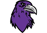A stylized purple bird head with a sharp black outline and a large gray beak facing right. Description generated by AI