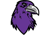 A stylized purple bird head with a sharp black outline and a large gray beak facing right. Description generated by AI