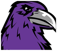 A stylized purple raven head with a sharp gray beak and a focused eye outlined in black. Description generated by AI