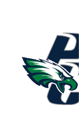 A stylized green and white eagle head with a fierce expression is overlaid on large navy blue letters “PC." Description generated by AI