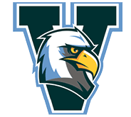 A stylized eagle head with a fierce expression is centered inside a large dark green letter V outlined in light blue. Description generated by AI