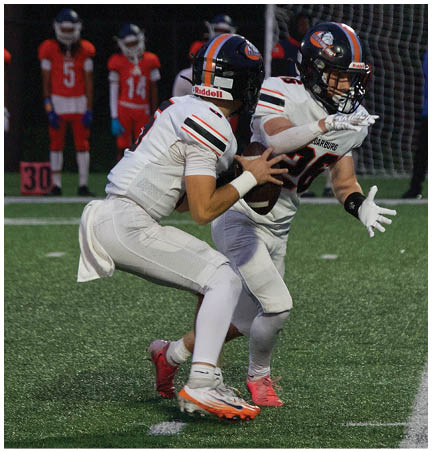 A football player wearing a blue and red jersey. Description generated by AI