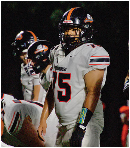 A football player wearing a blue and red jersey. Description generated by AI