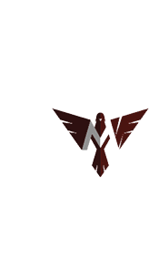 A blue and white logo for Valor. Description generated by AI