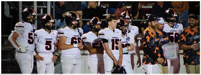 A football game is taking place on a field with players wearing blue and white uniforms. Description generated by AI