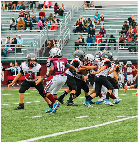 A group of football players celebrating a touchdown. Description generated by AI