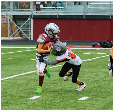 A group of football players celebrating a touchdown. Description generated by AI
