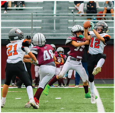 A group of football players celebrating a touchdown. Description generated by AI