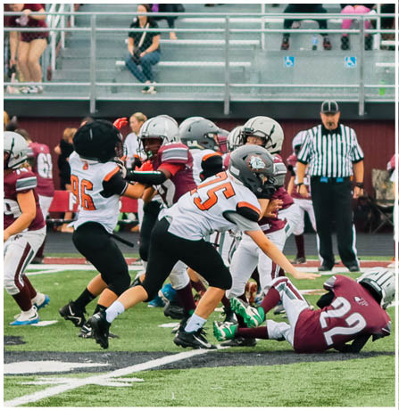 A group of football players celebrating a touchdown. Description generated by AI