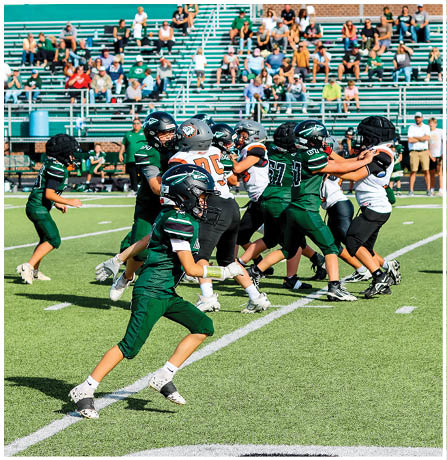 A group of football players celebrating a touchdown. Description generated by AI