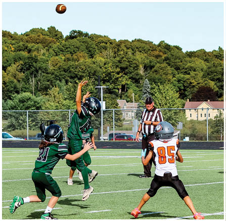 A group of football players celebrating a touchdown. Description generated by AI