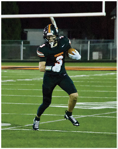 A football player wearing a blue and red jersey. Description generated by AI