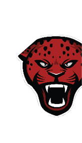 A stylized red and black fierce leopard head with sharp teeth bared and intense eyes. Description generated by AI