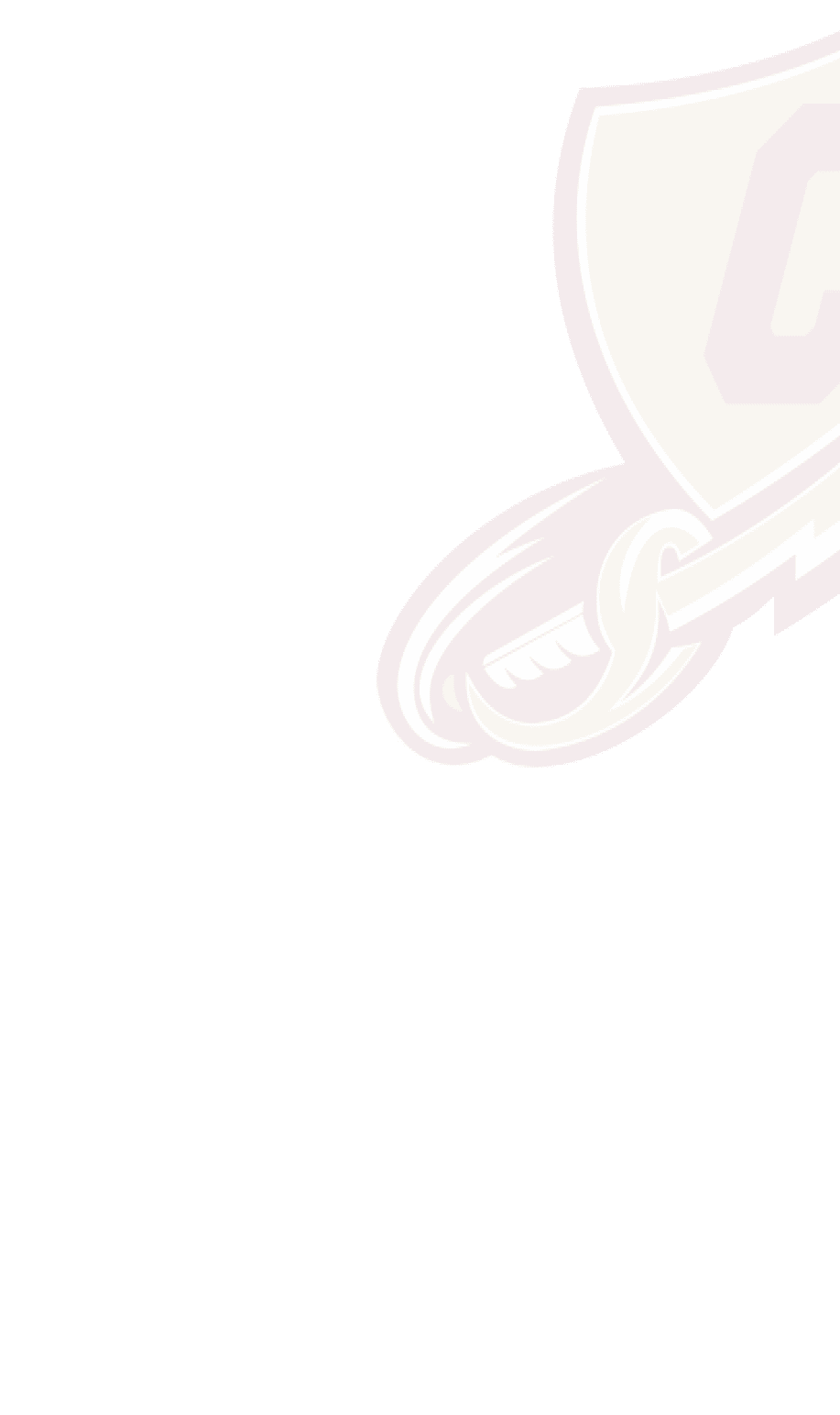 A logo for Dons football. Description generated by AI