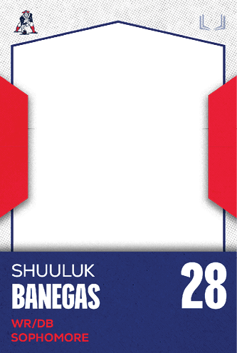 A football jersey with the number 23 on the back. Description generated by AI