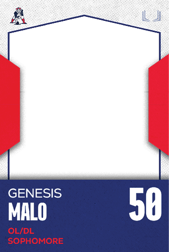 A football jersey with the number 29 on it. Description generated by AI