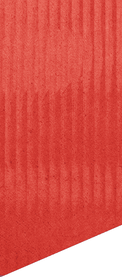 A green and white patterned background. Description generated by AI