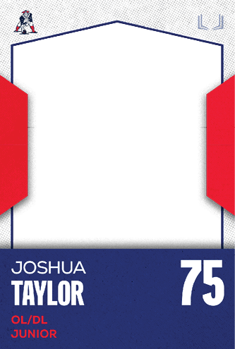 A football jersey with the number 38 on it. Description generated by AI