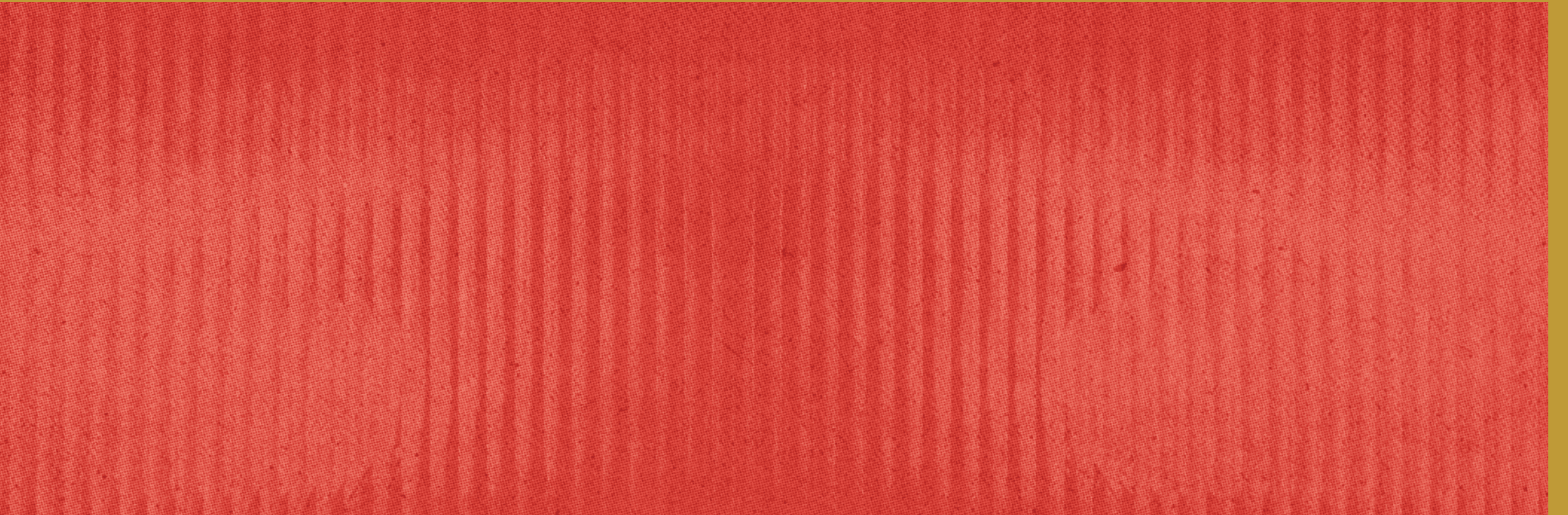 A green wall with a brick pattern. Description generated by AI