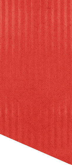 A green and white patterned background. Description generated by AI