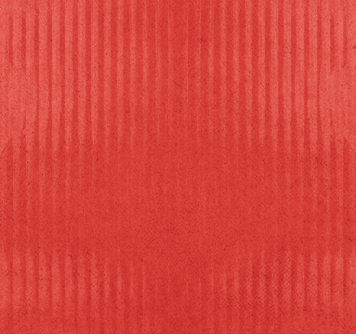 A textured red surface with a subtle vertical striped pattern. Description generated by AI