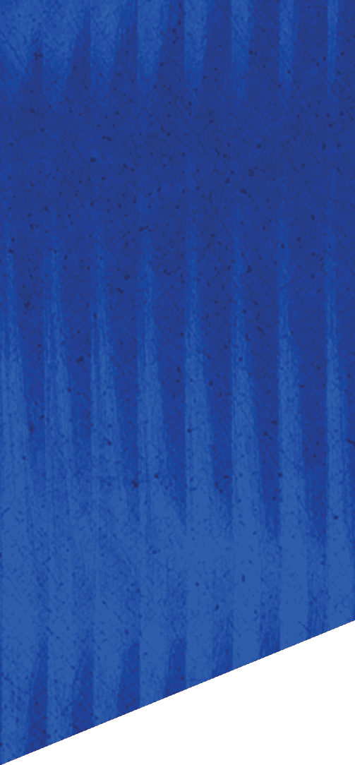 A green and white patterned background. Description generated by AI