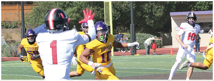 A football player is sliding on the ground. Description generated by AI