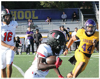 A football player running on the field. Description generated by AI