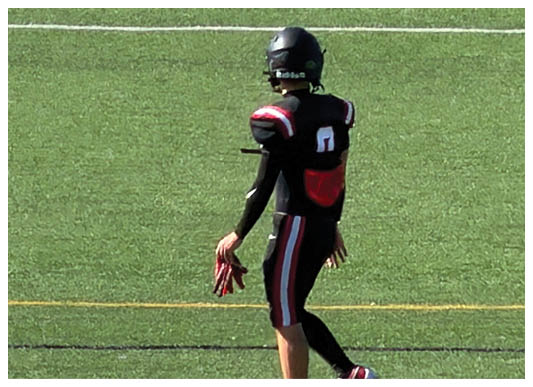 A person wearing a black football uniform with red and white stripes is standing on a grassy field holding a helmet. Description generated by AI