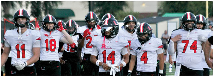 A group of football players on a field. Description generated by AI