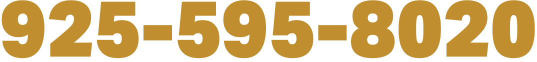 925 595 8020
