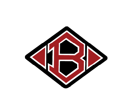 A blue and red logo of a lion. Description generated by AI